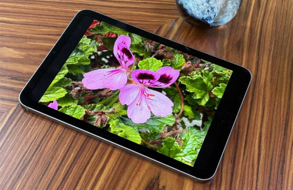 Обзор Apple iPad mini (A17 Pro): компактного планшета с самым мощным железом и ИИ